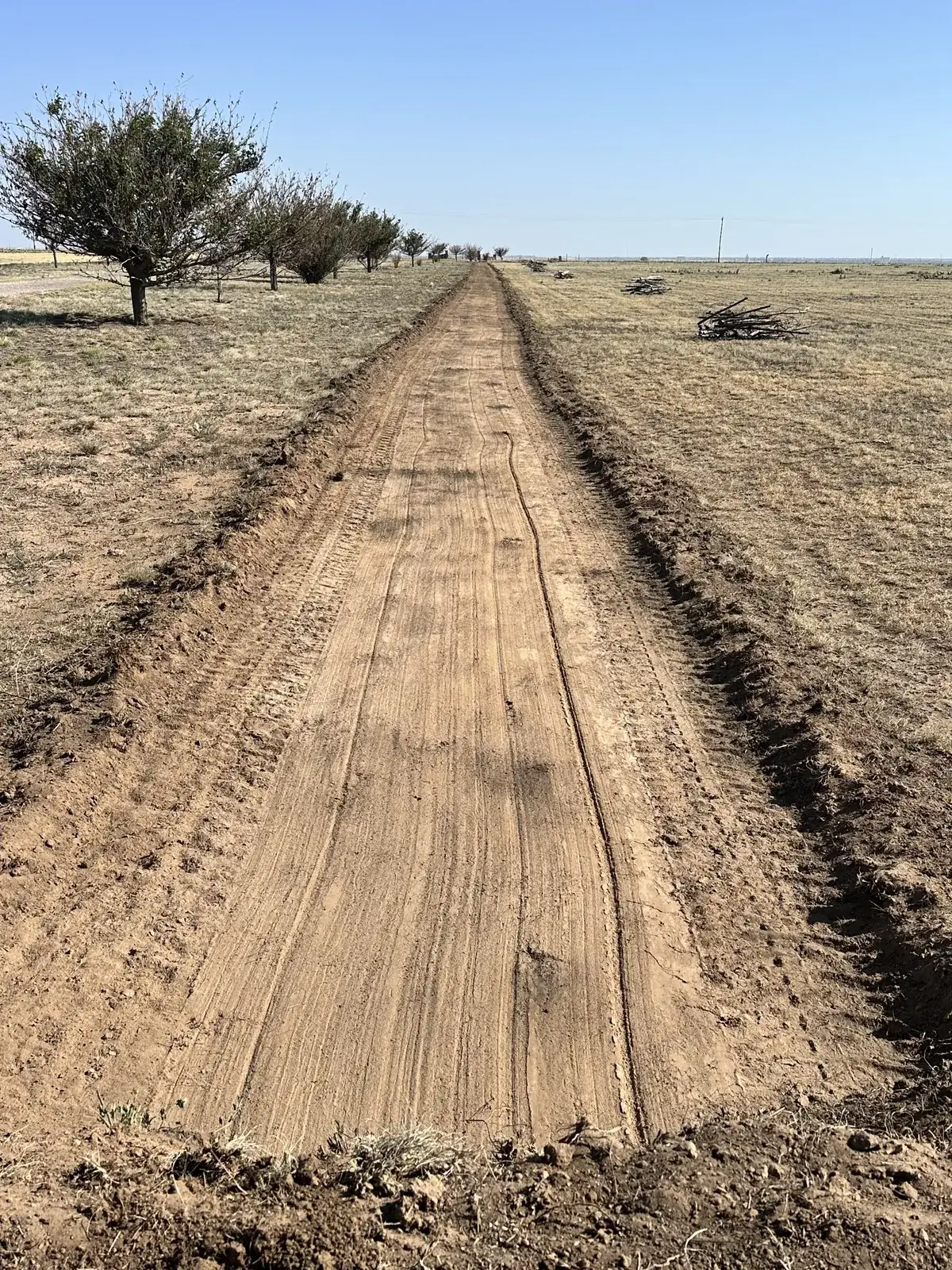 A freshly graded dirt driveway cut straight through open Texas Panhandle grassland